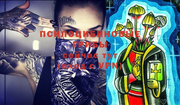 твердый Гусев
