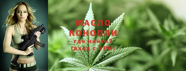 мдпв Никольск