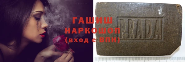 твердый Гусев