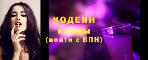 твердый Гусев