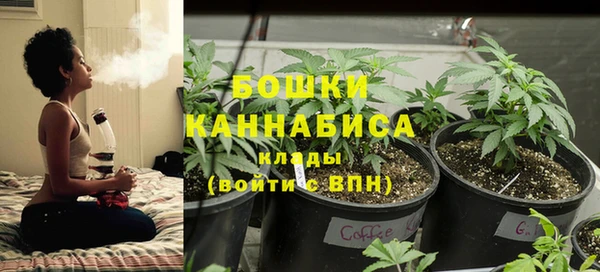 твердый Гусев