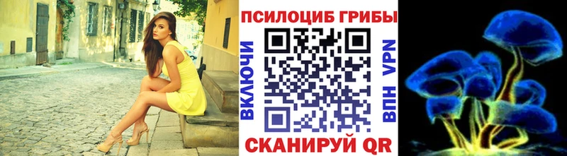 ссылка на мегу tor  Олёкминск  Галлюциногенные грибы Magic Shrooms  сколько стоит 